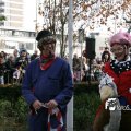 IMG_847629