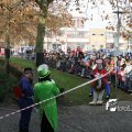 IMG_847665