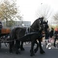 IMG_847686