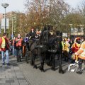 IMG_847699