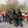 IMG_847700