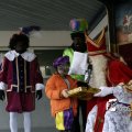 IMG_847817