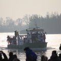 IMG_845531