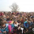 IMG_845748