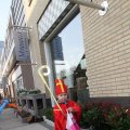 IMG_845923