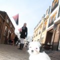 IMG_845927