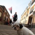 IMG_845928