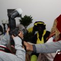 IMG_847528