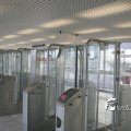 IMG_5203