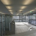 IMG_5207