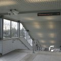 IMG_5211
