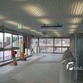 IMG_5213