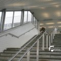 IMG_5218