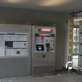 IMG_5234