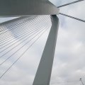 IMG_847894