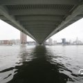 IMG_847911