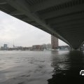IMG_847912