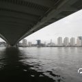 IMG_847913