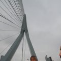IMG_847945