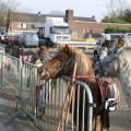 IMG_851864