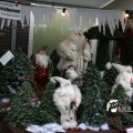 IMG_851905