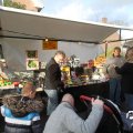 IMG_848363