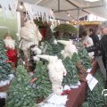 IMG_848368