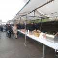 IMG_848379