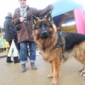 IMG_848406