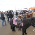 IMG_848416