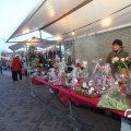 IMG_848447
