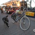 IMG_848463