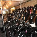 IMG_848518