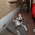 IMG_848774