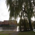 IMG_849069