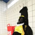IMG_850054