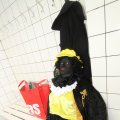 IMG_850056