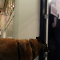 IMG_850632
