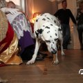 IMG_850912