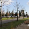 IMG_853355