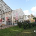 IMG_853356