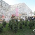 IMG_853357