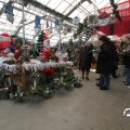 IMG_853359