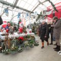 IMG_853360