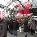 IMG_853362