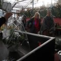 IMG_853365