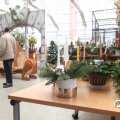 IMG_853367