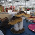 IMG_853376