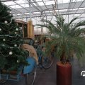 IMG_853377