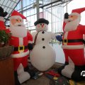 IMG_853379
